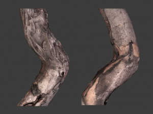 scanned logs planks sticks and stumps 3D Model