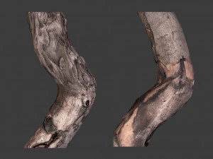scanned logs planks sticks and stumps 3D Model