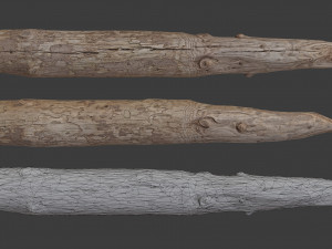 scanned logs planks sticks and stumps 3D Model