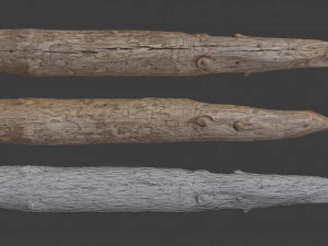scanned logs planks sticks and stumps 3D Model