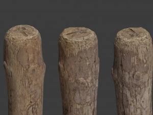 scanned logs planks sticks and stumps 3D Model