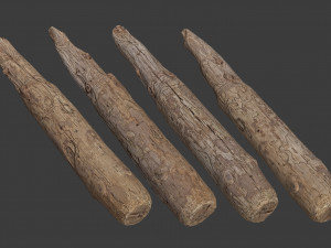 scanned logs planks sticks and stumps 3D Model