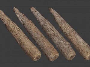 scanned logs planks sticks and stumps 3D Model