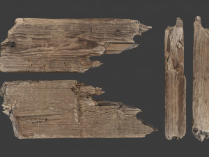 scanned logs planks sticks and stumps 3D Model