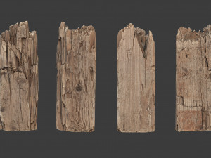 scanned logs planks sticks and stumps 3D Model
