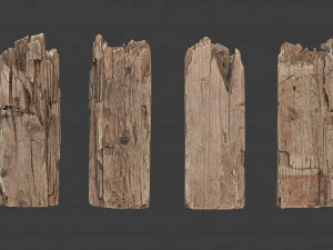 scanned logs planks sticks and stumps 3D Model