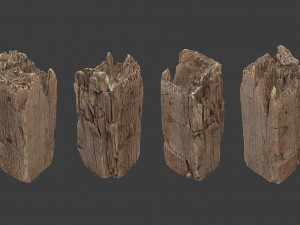 scanned logs planks sticks and stumps 3D Model