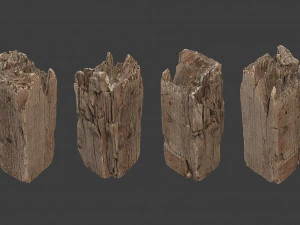 scanned logs planks sticks and stumps 3D Model
