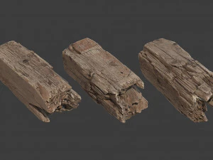scanned logs planks sticks and stumps 3D Model