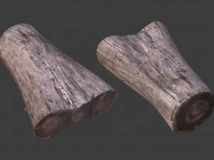 scanned logs planks sticks and stumps 3D Model