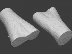 scanned logs planks sticks and stumps 3D Model