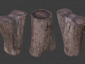 scanned logs planks sticks and stumps 3D Model