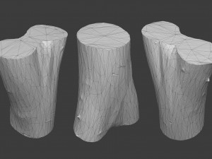 scanned logs planks sticks and stumps 3D Model