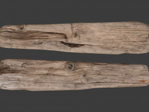 scanned logs planks sticks and stumps 3D Model