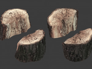 scanned logs planks sticks and stumps 3D Model