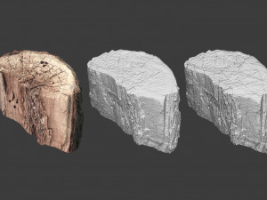 scanned logs planks sticks and stumps 3D Model
