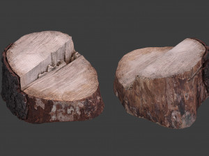 scanned logs planks sticks and stumps 3D Model