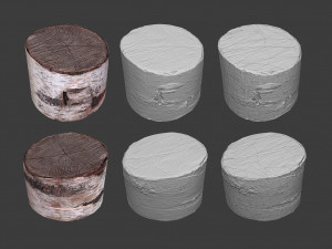 scanned logs planks sticks and stumps 3D Model