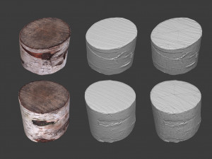 scanned logs planks sticks and stumps 3D Model