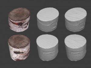 scanned logs planks sticks and stumps 3D Model
