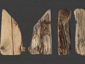 scanned logs planks sticks and stumps 3D Model