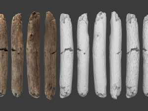 scanned logs planks sticks and stumps 3D Model