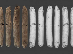 scanned logs planks sticks and stumps 3D Model