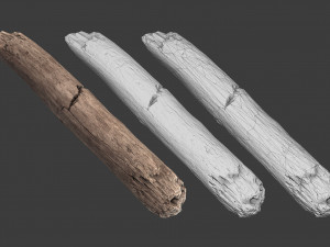 scanned logs planks sticks and stumps 3D Model