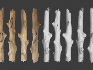 scanned logs planks sticks and stumps 3D Model