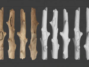 scanned logs planks sticks and stumps 3D Model