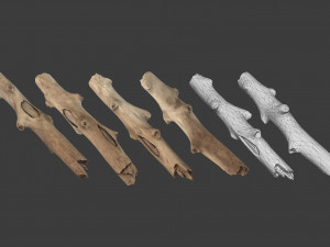 scanned logs planks sticks and stumps 3D Model