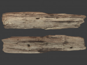 scanned logs planks sticks and stumps 3D Model