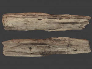 scanned logs planks sticks and stumps 3D Model