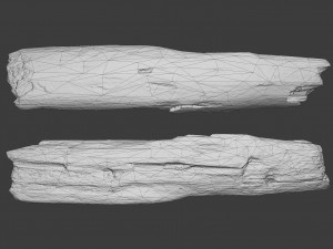 scanned logs planks sticks and stumps 3D Model