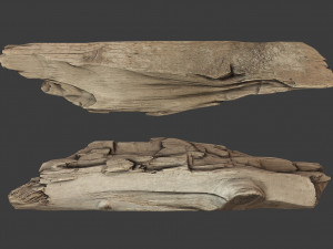 scanned logs planks sticks and stumps 3D Model