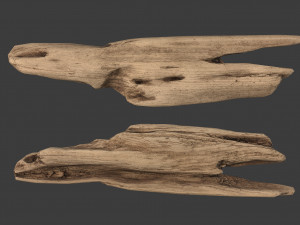 scanned logs planks sticks and stumps 3D Model