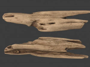 scanned logs planks sticks and stumps 3D Model