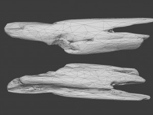 scanned logs planks sticks and stumps 3D Model