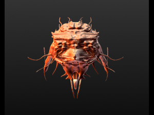 hawk monster 3D मॉडल