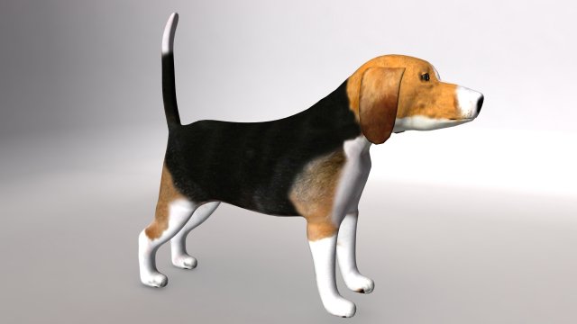 beagle 3D Model .c4d .max .obj .3ds .fbx .stl .blend 