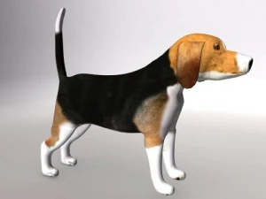 pies gończy Model 3D