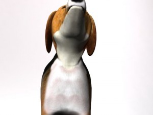 beagle 3D Model