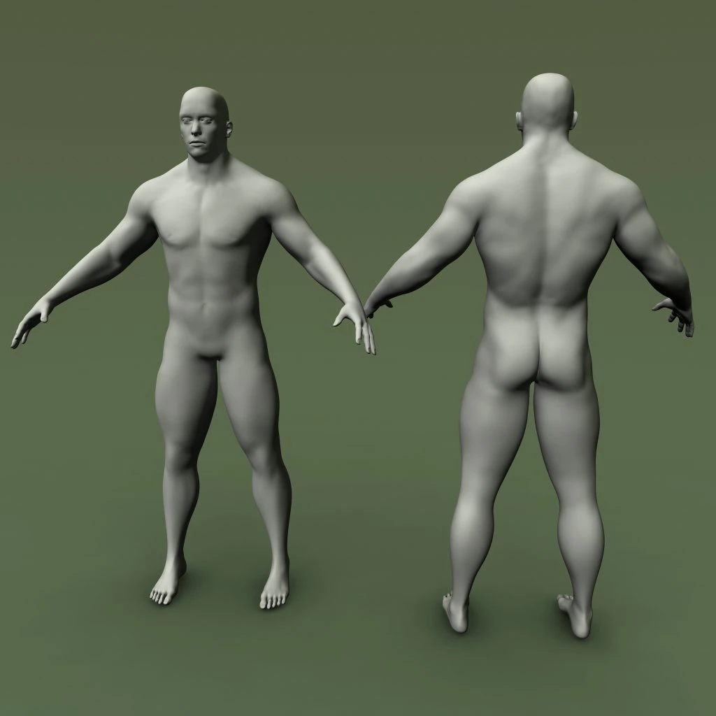 male human anatomy high poly 3D Model .c4d .max .obj .3ds .fbx .stl .blend