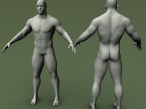 male human anatomy high poly Modelo 3D