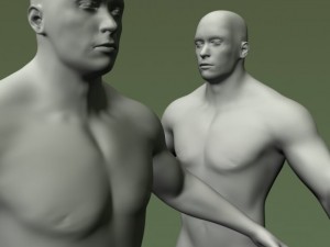 male human anatomy high poly 3D 모델