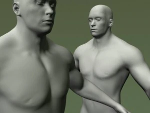 male human anatomy high poly 3D Model