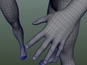 male human anatomy high poly 3D 모델