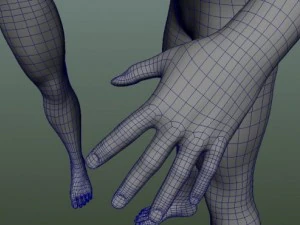male human anatomy high poly 3D Model