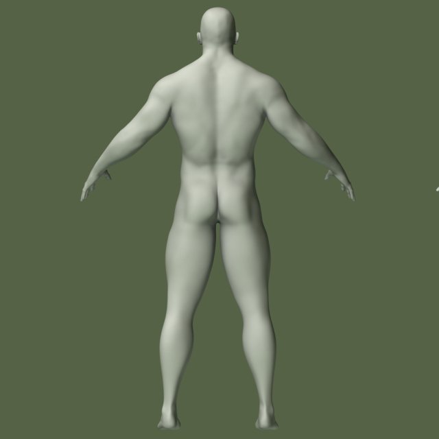 Muscular Human Body Base Mesh 3D Model Pack 1000 Polygons