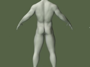 male human anatomy high poly 3D 모델